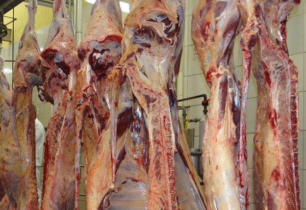 Governo zera imposto de importação de alimentos como carne e milho