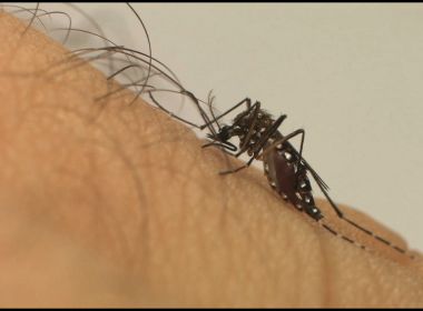 Saúde aponta que dengue matou 752 brasileiros neste ano